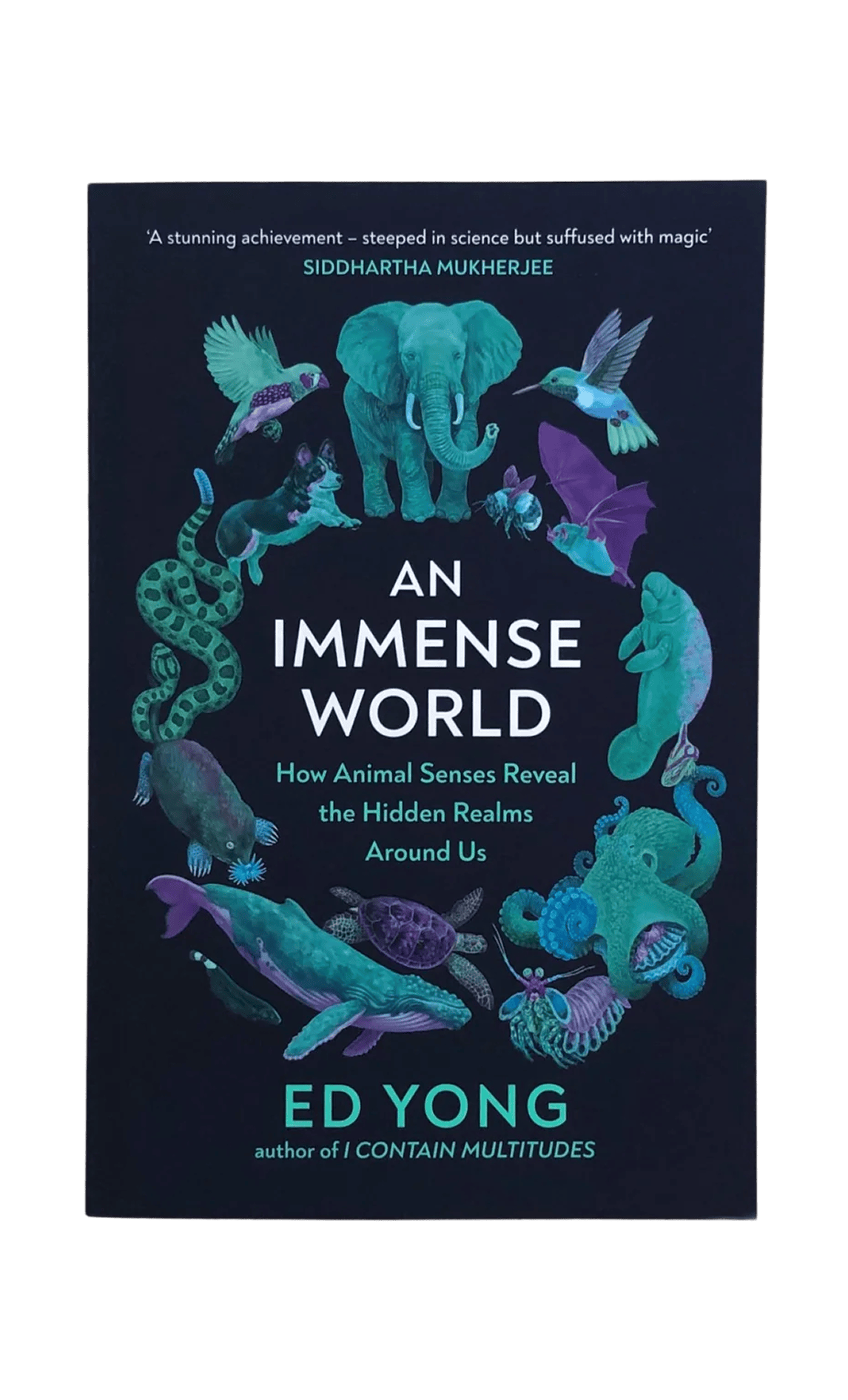 An Immense World