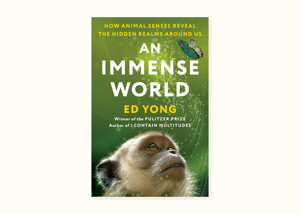 Ed Yong – An Immense World (2022)